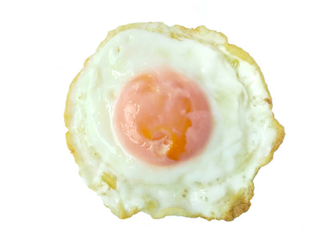 Egg