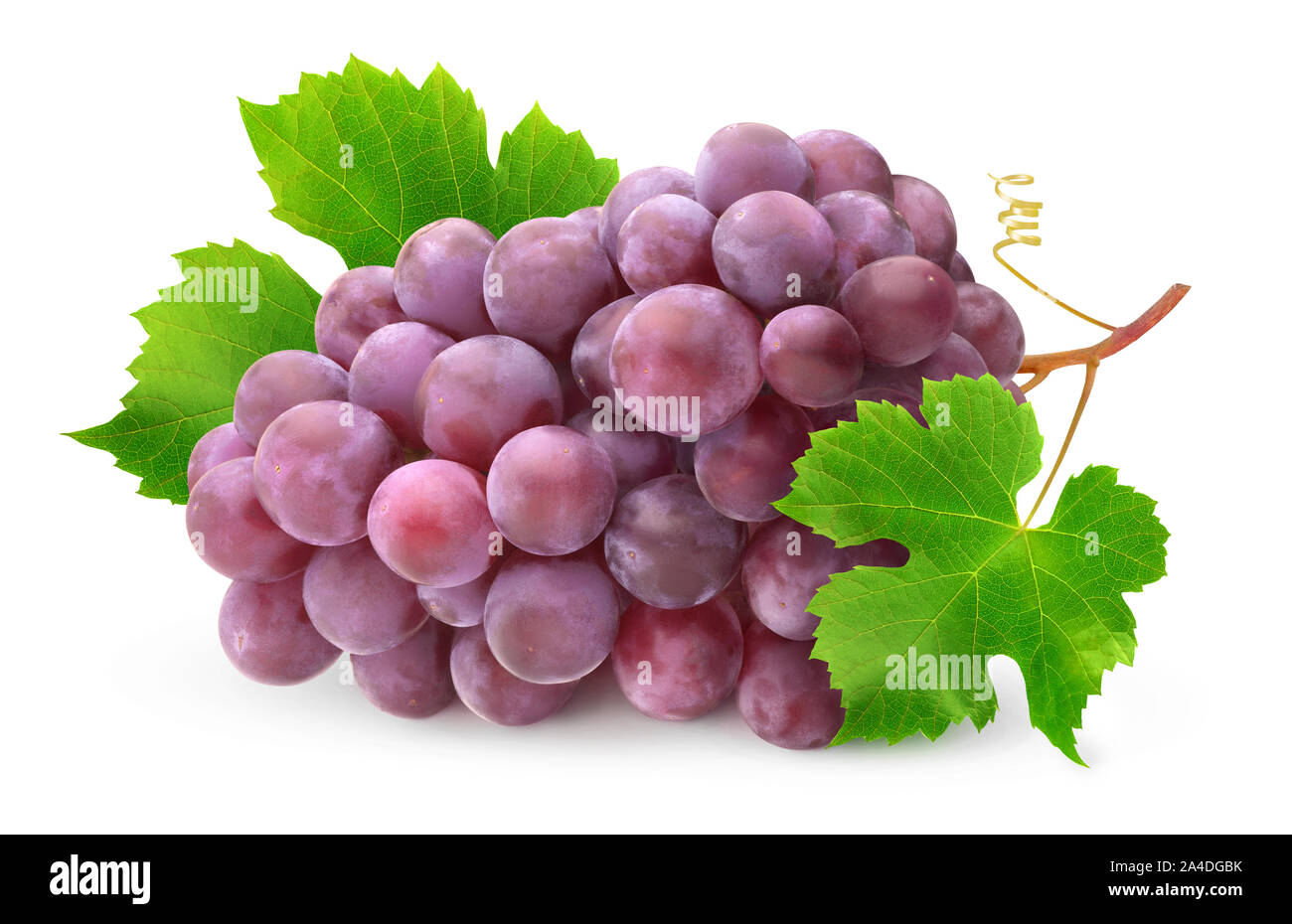 Grapes