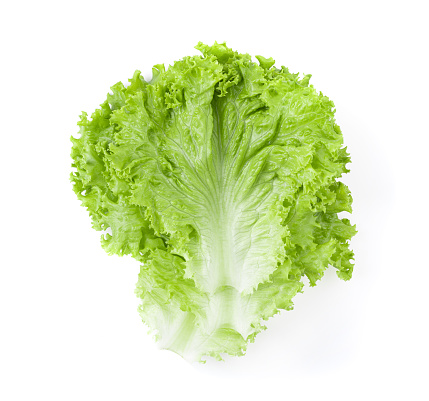 Lettuce